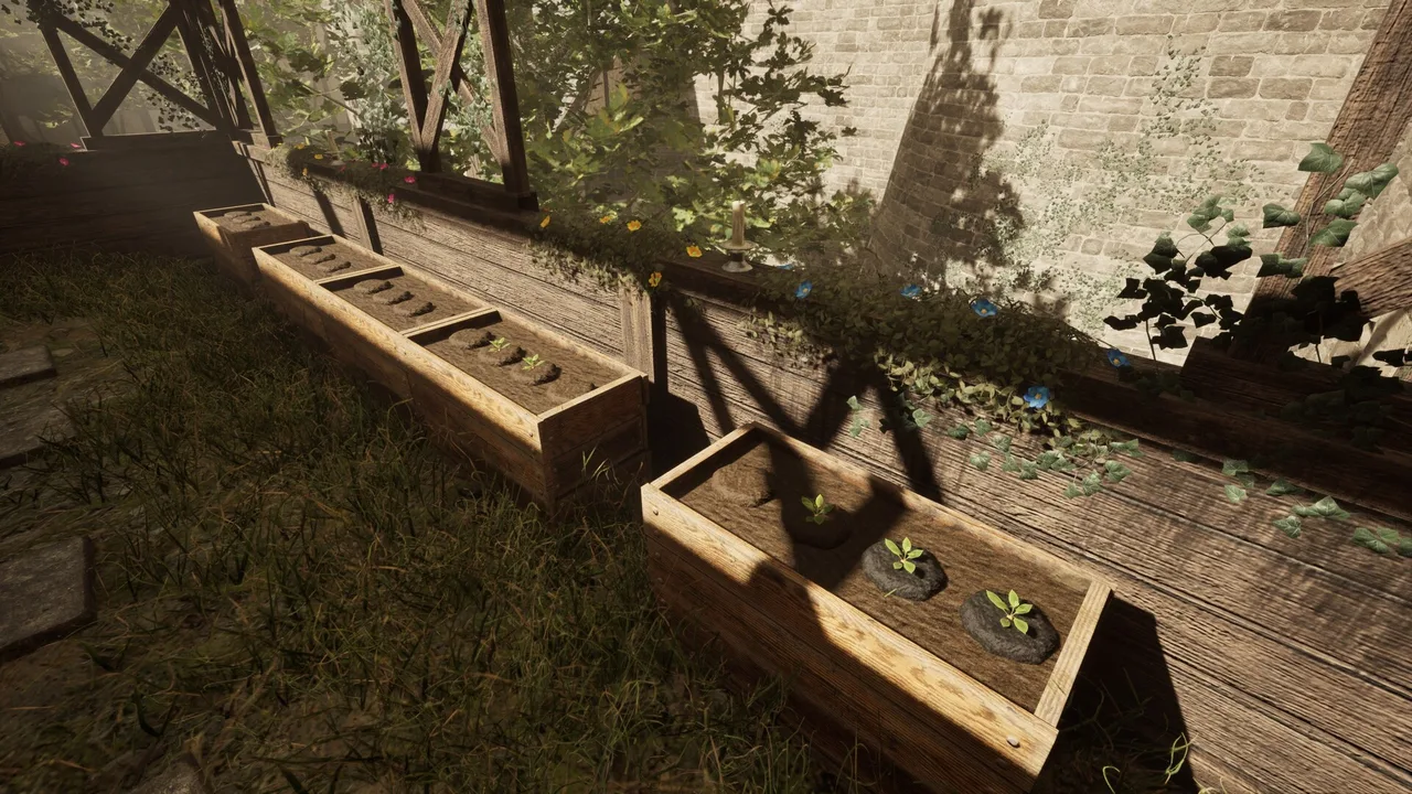 Backyard planter boxes with seedlings growing beside an ivy-covered wall